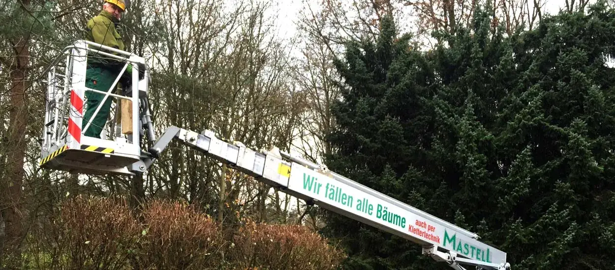 Hebebühne für Baumarbeiten