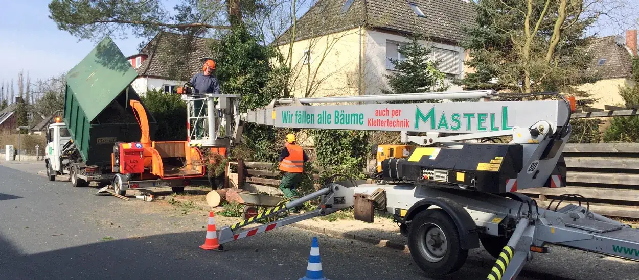 Hebebühne bei Baumarbeiten
