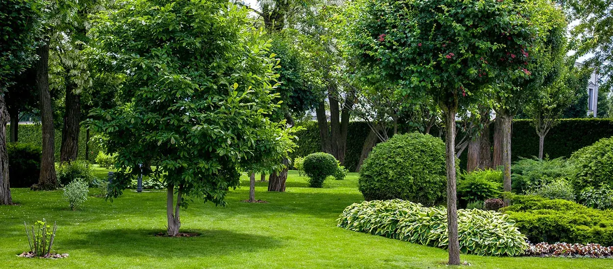Angelegter Garten mit Formschnitt
