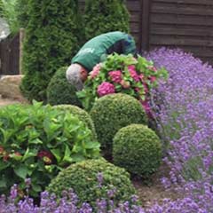 Gartengestaltung Uelzen